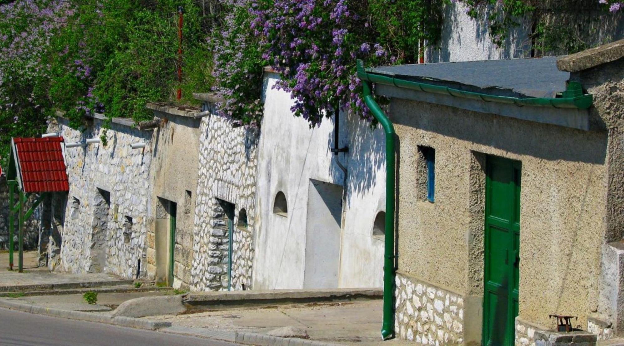 Fenyo Panzio Bed & Breakfast Mezőkövesd Dış mekan fotoğraf