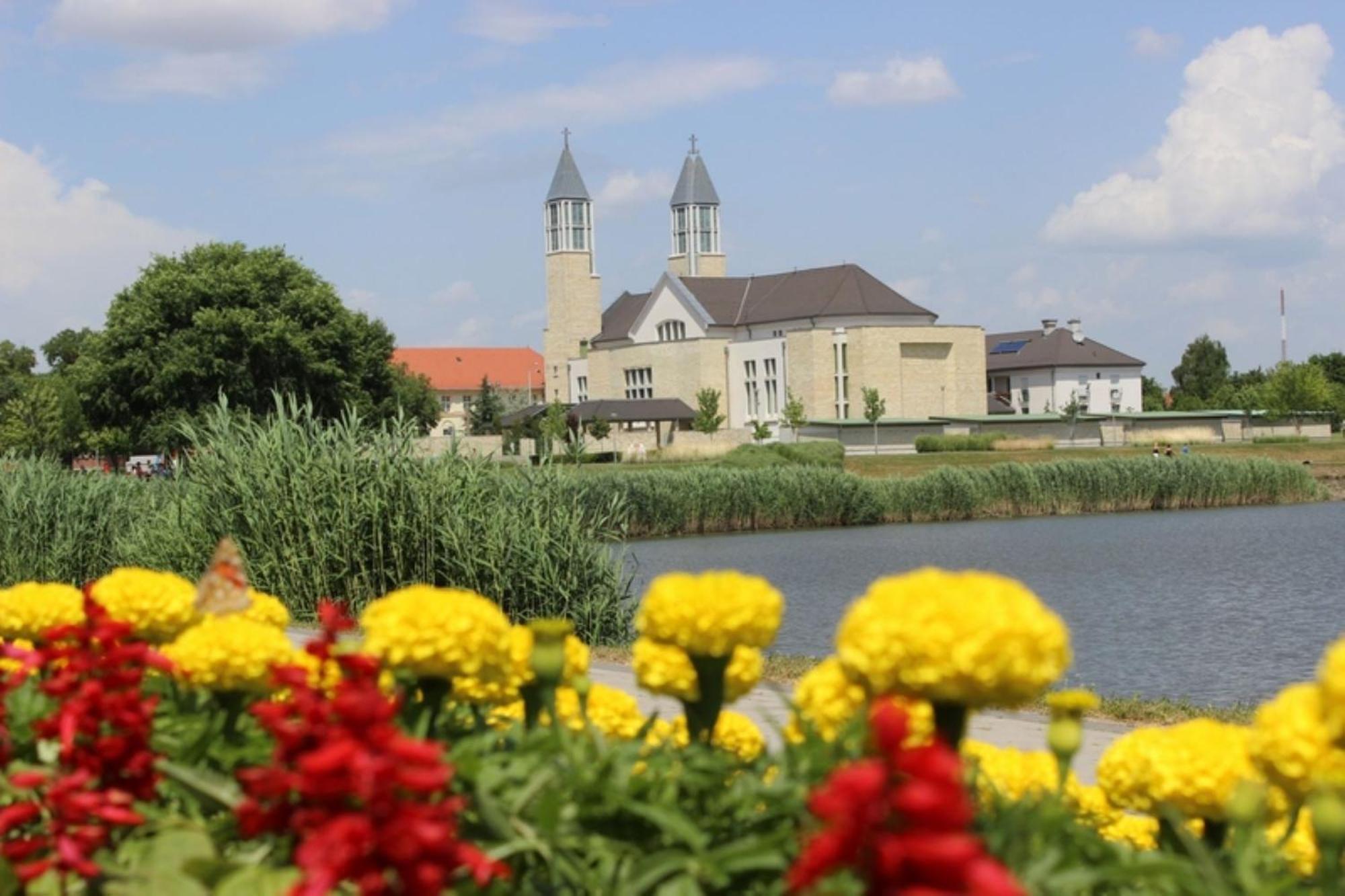 Fenyo Panzio Bed & Breakfast Mezőkövesd Dış mekan fotoğraf