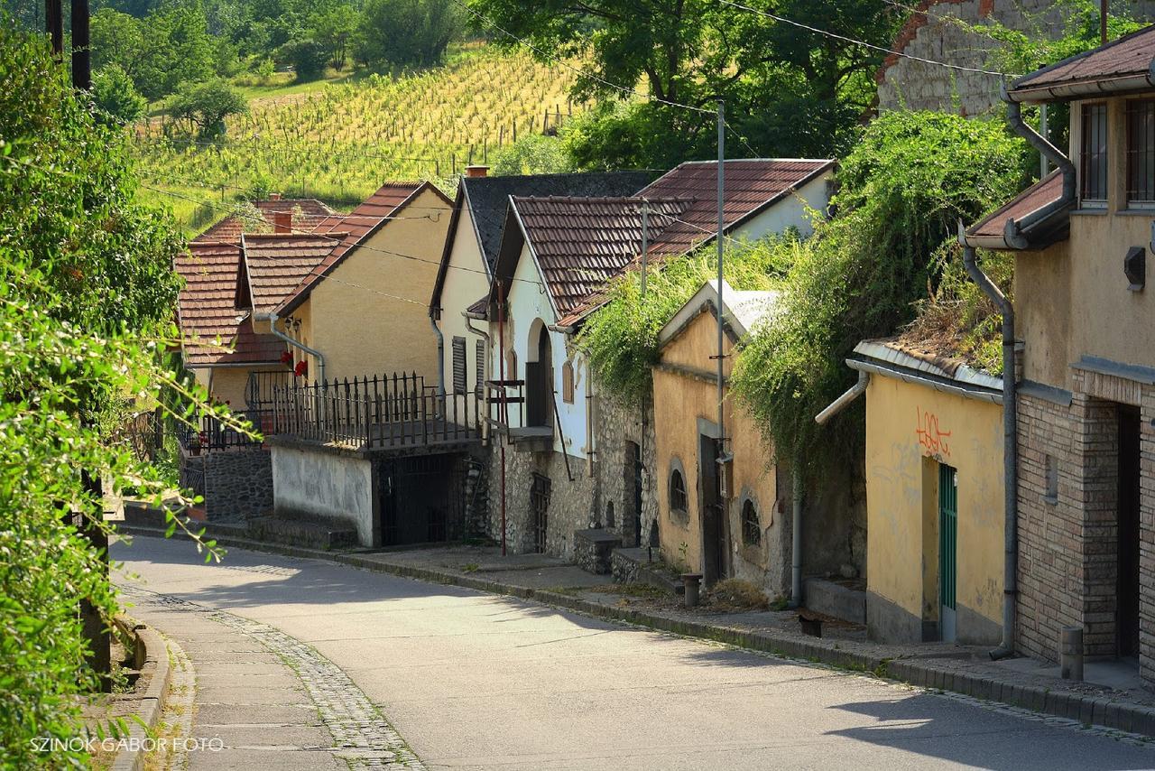 Fenyo Panzio Bed & Breakfast Mezőkövesd Dış mekan fotoğraf